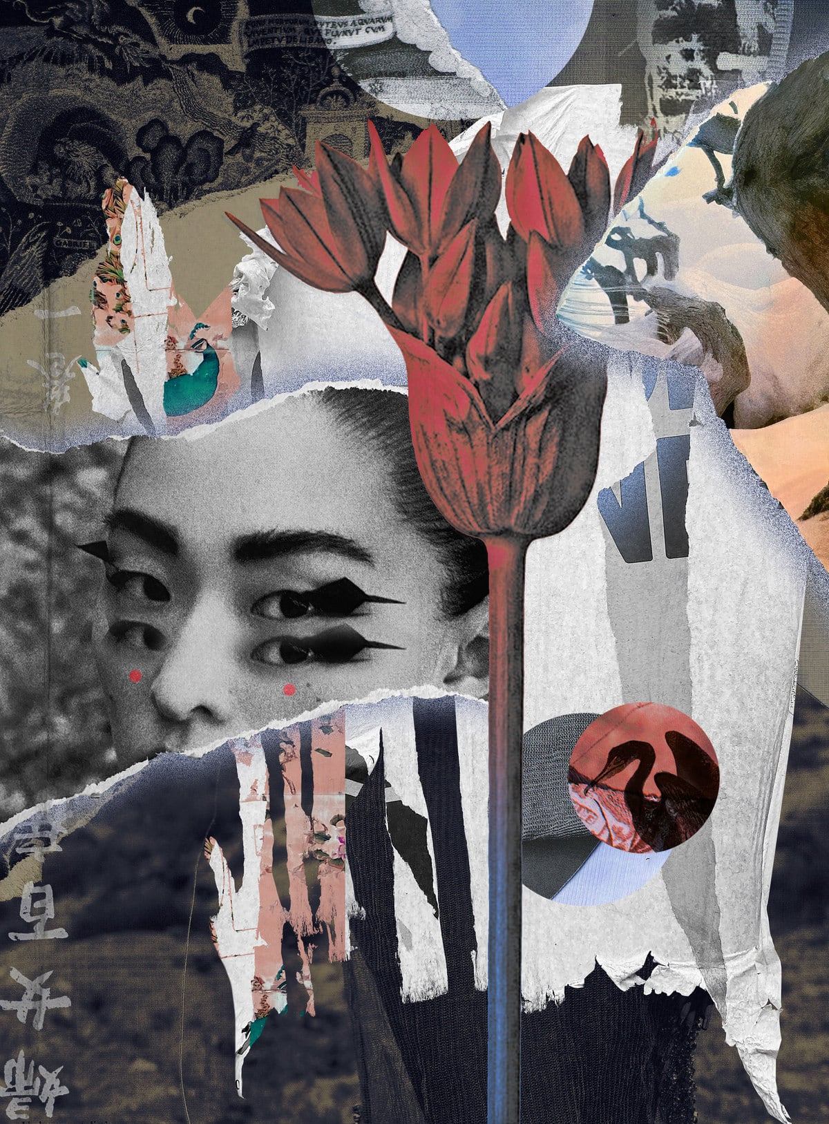 Mixed-media collage combining a woman's face with graphic eye makeup, a large red flower illustration, East Asian calligraphy and a crane inside a red circle