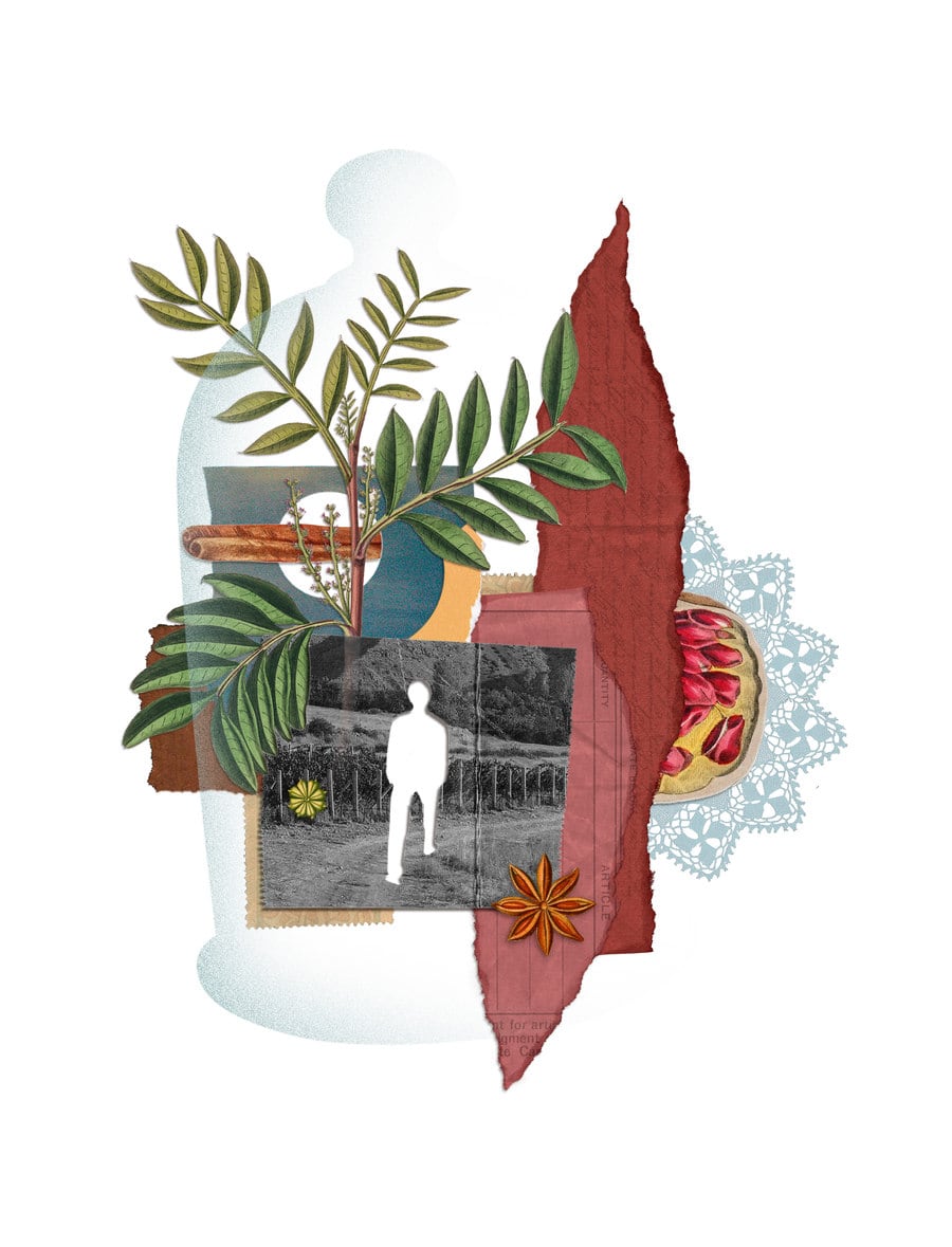 Editorial collage of a white silhouette inside a glass bottle shape, surrounded by botanical illustrations and a torn wine-red paper