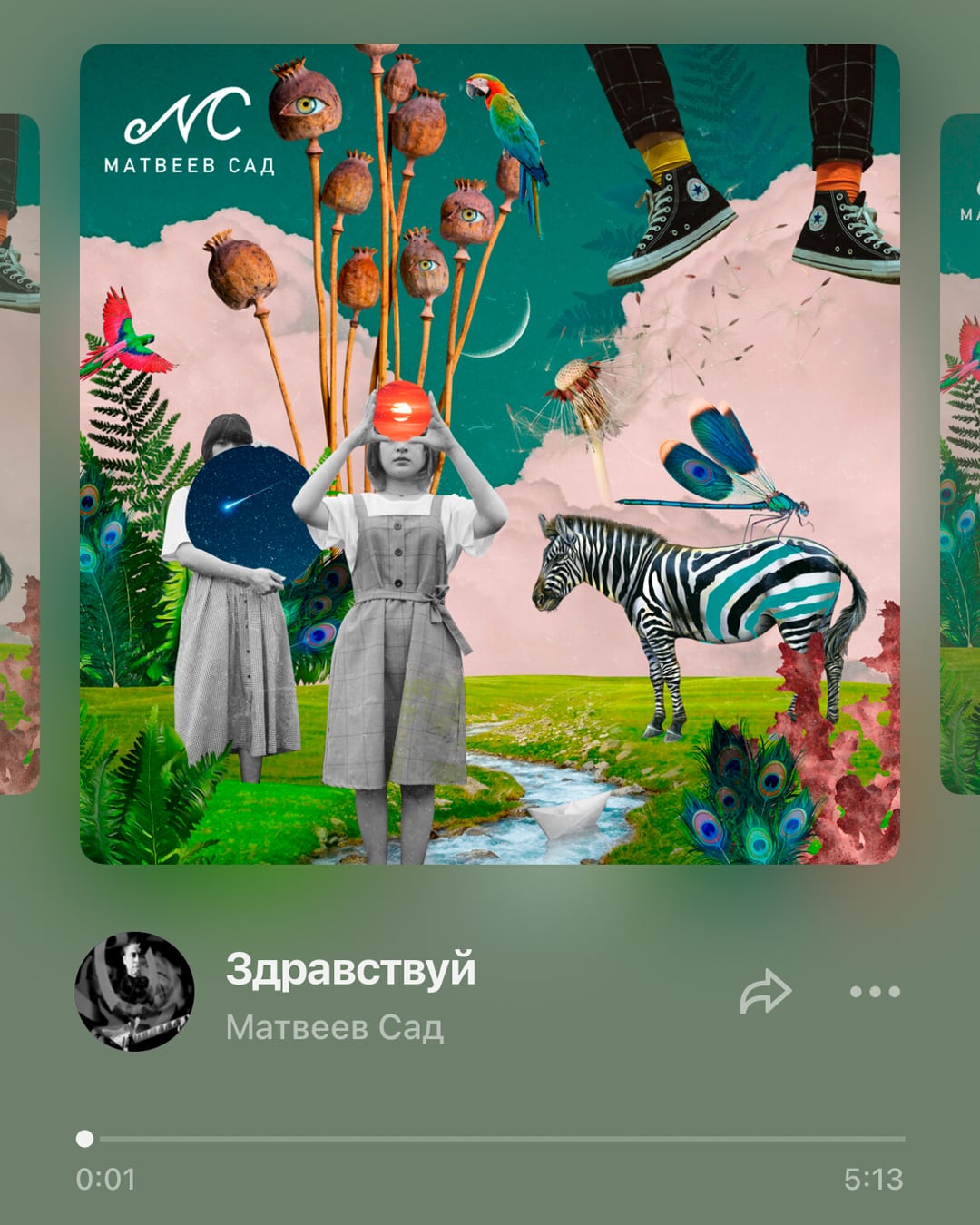 Album cover artwork for Matveev Sad's track "Здравствуй" ("Hello"), a collage of two figures in a surreal garden with a zebra, peacock feathers and floating poppy seed pods