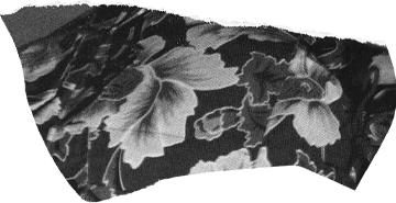 Torn paper cutout with a dark monochrome floral print